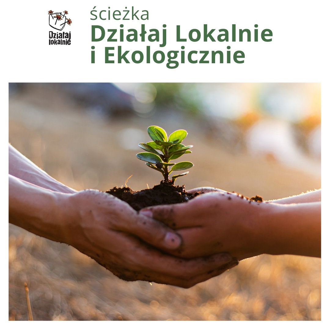 Przeglądaj